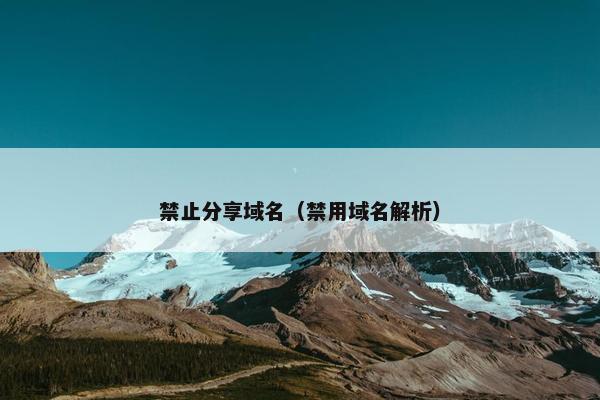 禁止分享域名（禁用域名解析）