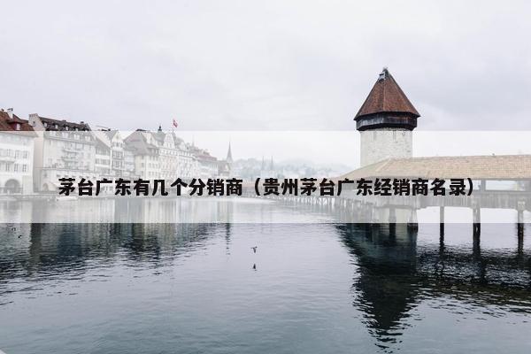 茅台广东有几个分销商（贵州茅台广东经销商名录）