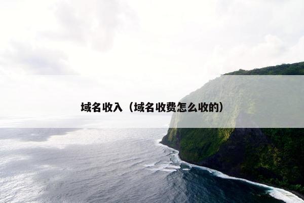 域名收入（域名收费怎么收的）