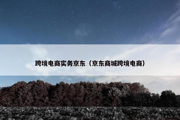 跨境电商实务京东（京东商城跨境电商）