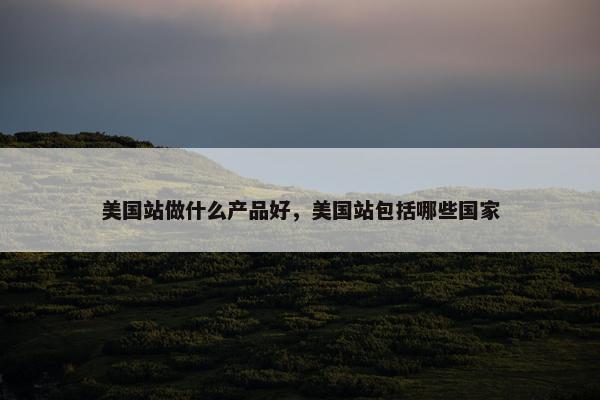 美国站做什么产品好，美国站包括哪些国家
