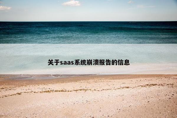 关于saas系统崩溃报告的信息