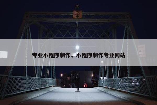 专业小程序制作，小程序制作专业网站