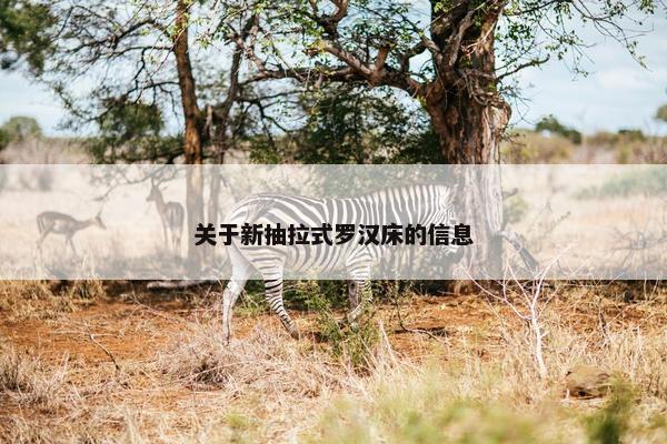 关于新抽拉式罗汉床的信息