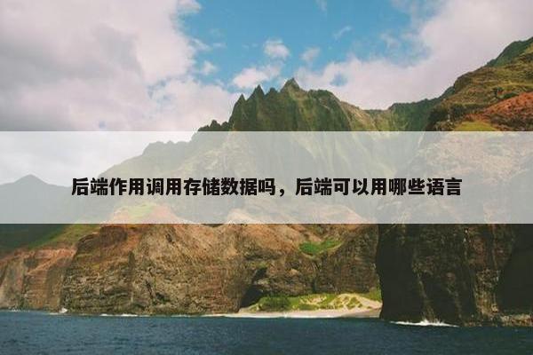 后端作用调用存储数据吗，后端可以用哪些语言