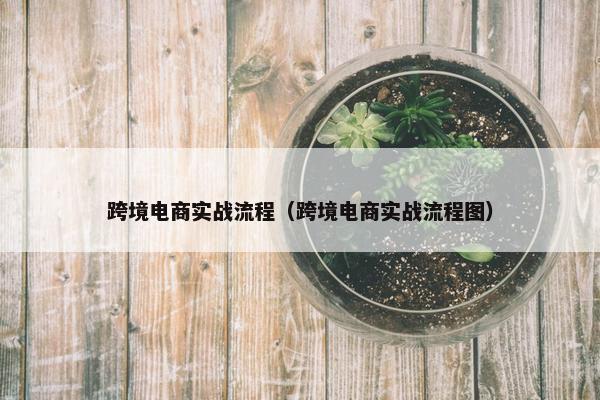 跨境电商实战流程（跨境电商实战流程图）
