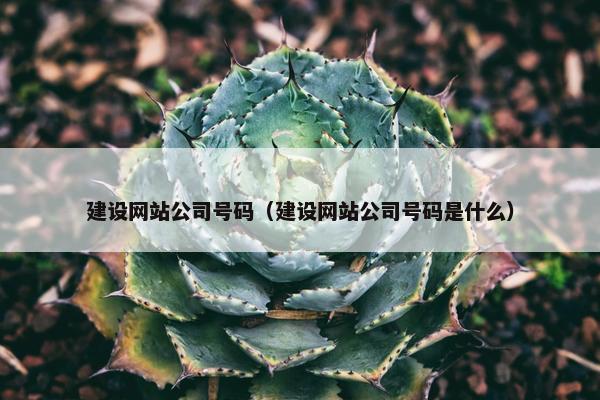 建设网站公司号码（建设网站公司号码是什么）