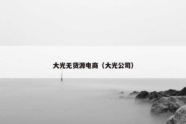 大光无货源电商（大光公司）