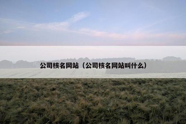 公司核名网站（公司核名网站叫什么）