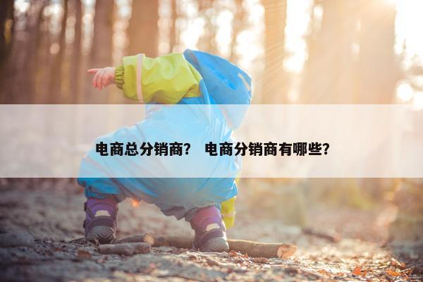 电商总分销商？ 电商分销商有哪些？
