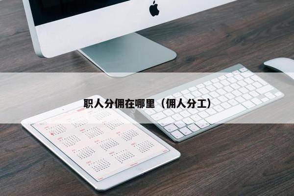 职人分佣在哪里（佣人分工）