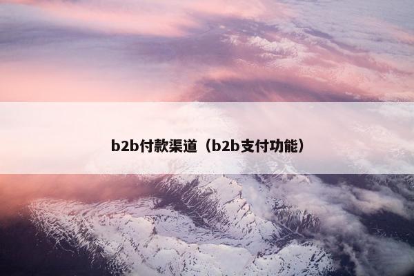 b2b付款渠道（b2b支付功能）