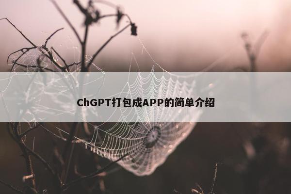 ChGPT打包成APP的简单介绍