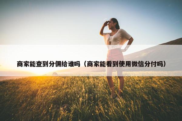 商家能查到分佣给谁吗（商家能看到使用微信分付吗）