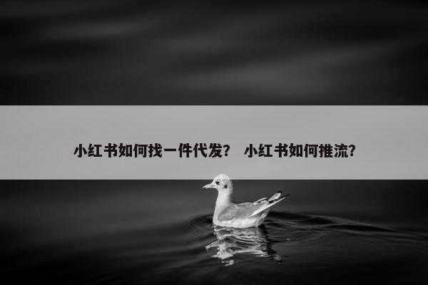 小红书如何找一件代发？ 小红书如何推流？