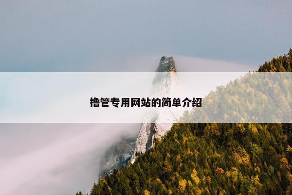 撸管专用网站的简单介绍