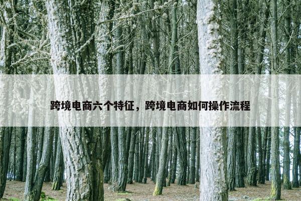 跨境电商六个特征，跨境电商如何操作流程