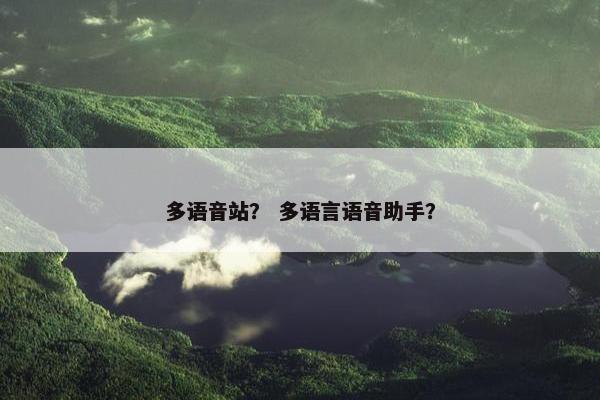 多语音站？ 多语言语音助手？