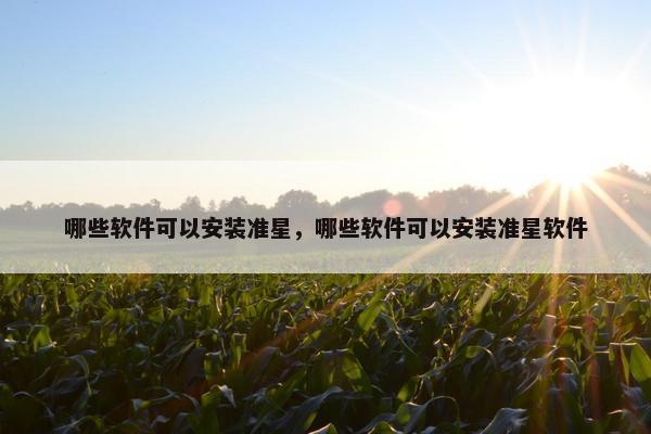 哪些软件可以安装准星，哪些软件可以安装准星软件