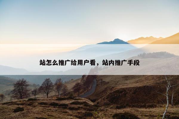 站怎么推广给用户看，站内推广手段