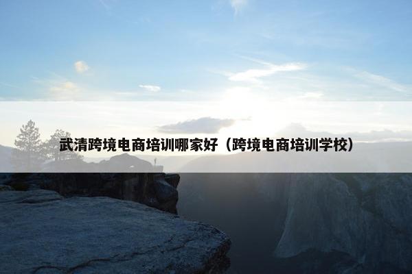 武清跨境电商培训哪家好（跨境电商培训学校）
