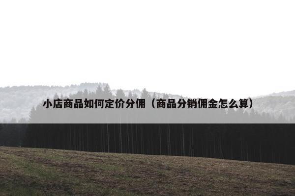 小店商品如何定价分佣（商品分销佣金怎么算）
