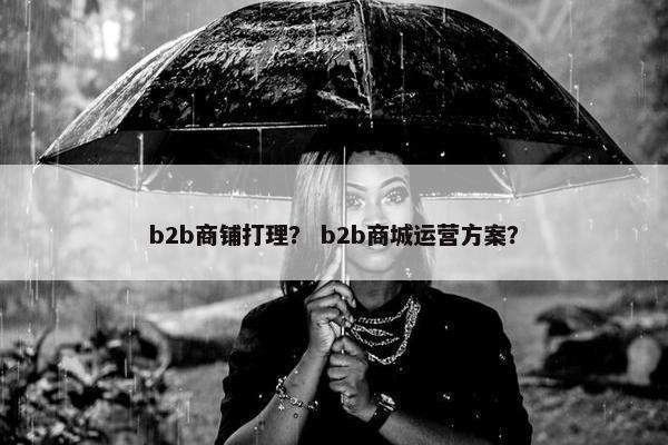 b2b商铺打理？ b2b商城运营方案？