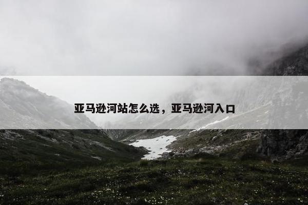 亚马逊河站怎么选，亚马逊河入口