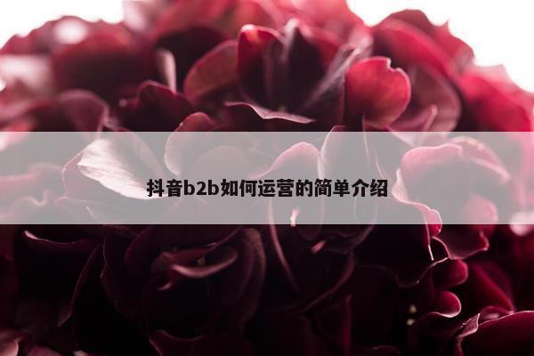 抖音b2b如何运营的简单介绍