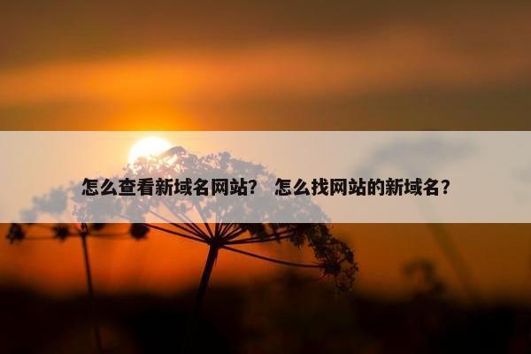 怎么查看新域名网站？ 怎么找网站的新域名？