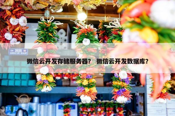 微信云开发存储服务器？ 微信云开发数据库？