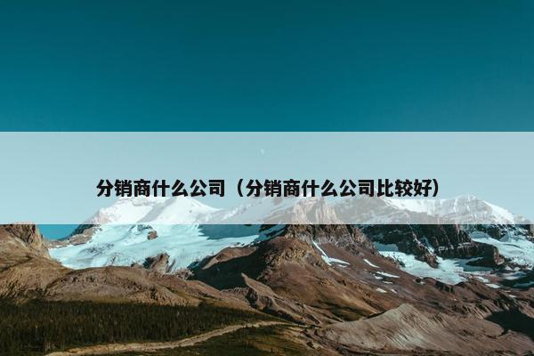 分销商什么公司（分销商什么公司比较好）