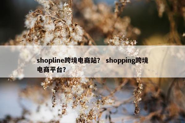 shopline跨境电商站？ shopping跨境电商平台？