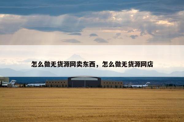 怎么做无货源网卖东西，怎么做无货源网店