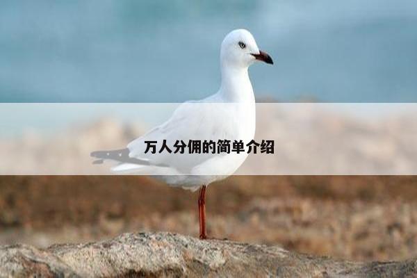 万人分佣的简单介绍
