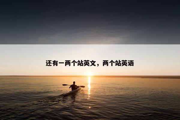 还有一两个站英文，两个站英语