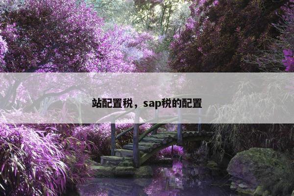 站配置税，sap税的配置