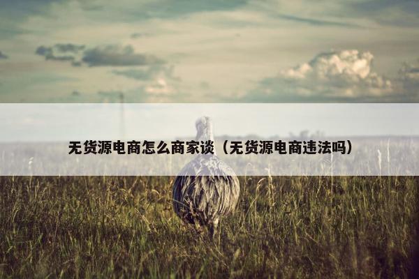无货源电商怎么商家谈（无货源电商违法吗）