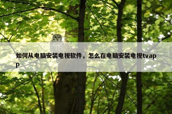如何从电脑安装电视软件，怎么在电脑安装电视tvapp