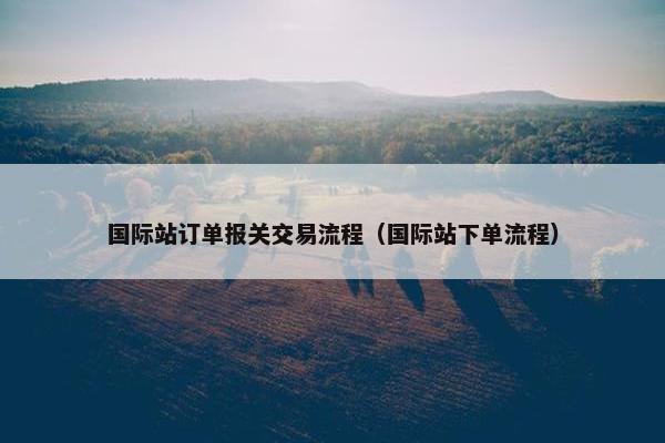 国际站订单报关交易流程（国际站下单流程）