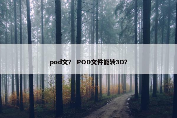 pod文？ POD文件能转3D？