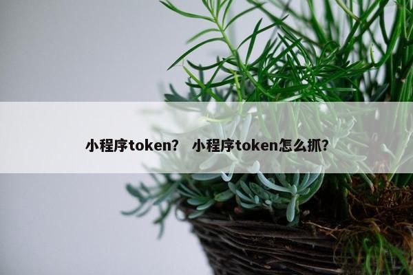 小程序token？ 小程序token怎么抓？