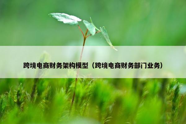 跨境电商财务架构模型（跨境电商财务部门业务）