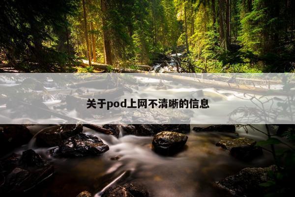 关于pod上网不清晰的信息