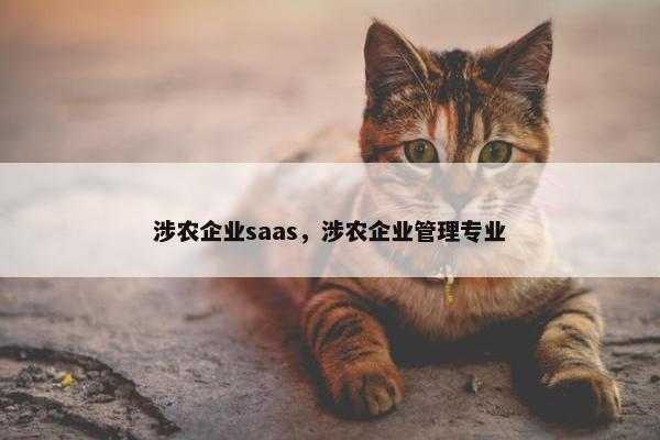 涉农企业saas，涉农企业管理专业