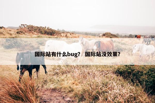 国际站有什么bug？ 国际站没效果？