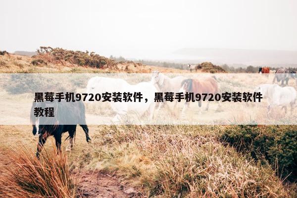 黑莓手机9720安装软件，黑莓手机9720安装软件教程