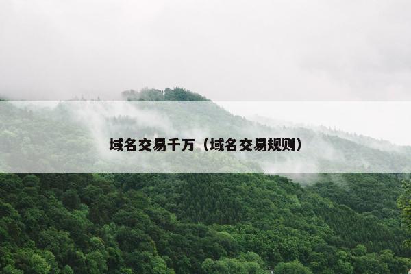 域名交易千万（域名交易规则）