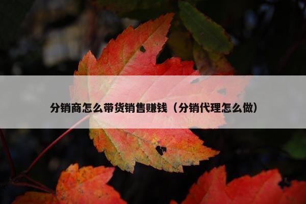 分销商怎么带货销售赚钱（分销代理怎么做）