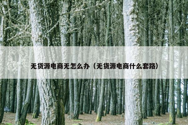 无货源电商无怎么办（无货源电商什么套路）